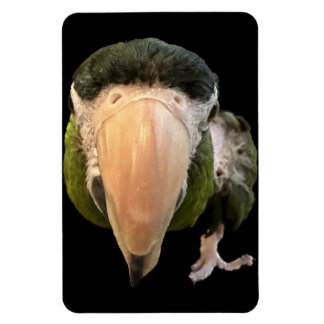 imán de beakysnooter mágico