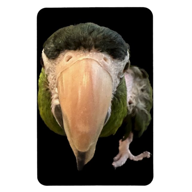 imán de beakysnooter mágico (Vertical)