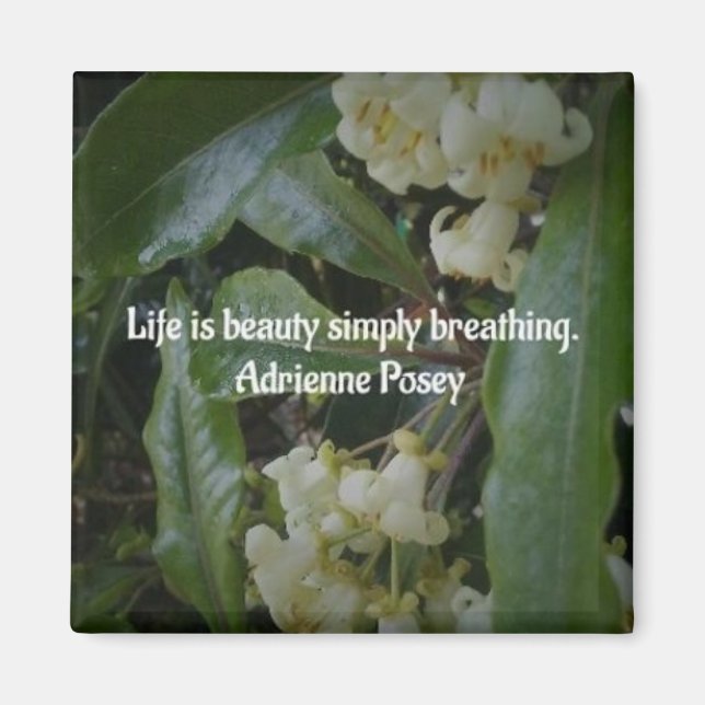 imán de belleza de la vida (Frente)