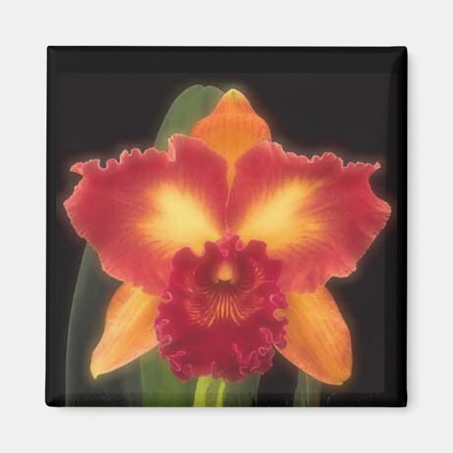 Imán de belleza exótico (Frente)