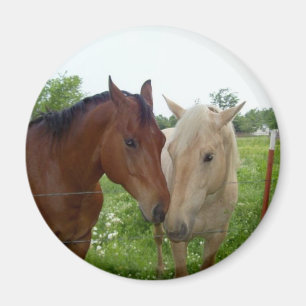 Imán De BFF de los mejores amigos caballos para siempre