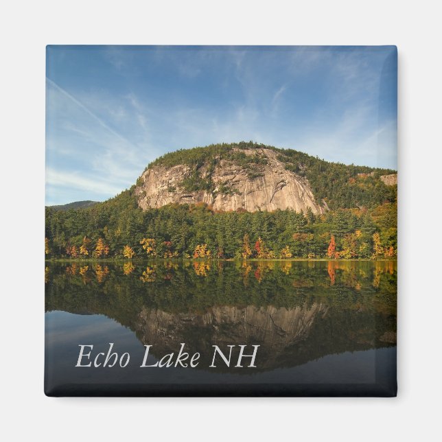 Imán de borde blanco de caballo (Frente)