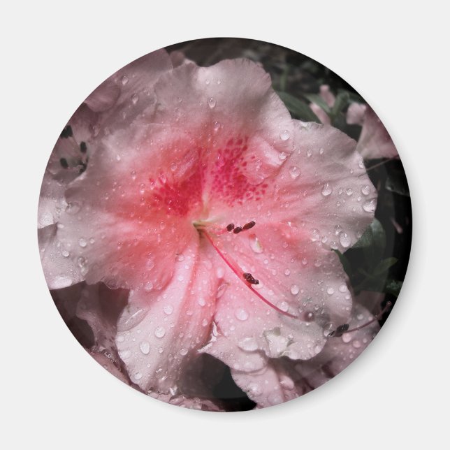 Imán de brillo interno (Frente)