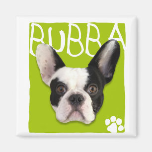 Imán de Bubba