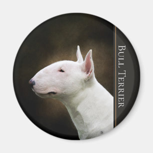Imán de bull terrier
