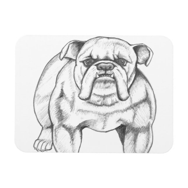 imán de bulldog (Horizontal)