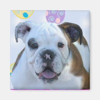 Imán de bulldog de saludos de Pascua