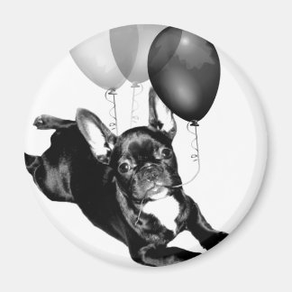 Imán de Bulldog francés de cumpleaños