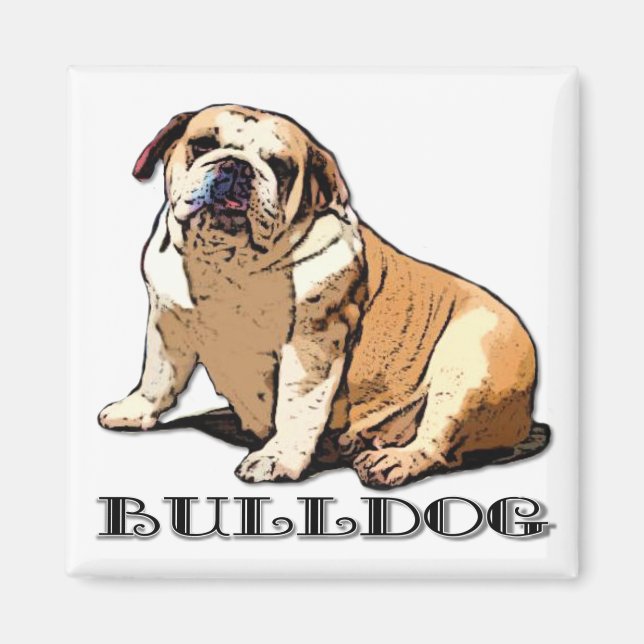 imán de Bulldog inglés (Frente)
