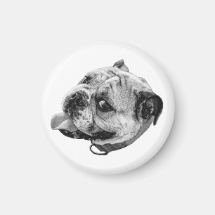 Imán de Bulldog Suave