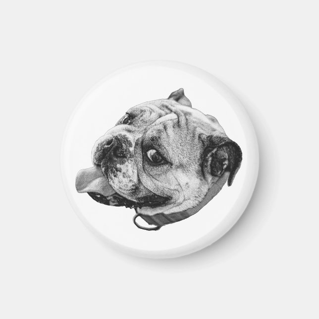Imán de Bulldog Suave (Frente)