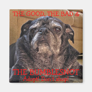 Imán de Bumblesnot: Bueno, malo y Bumblesnot