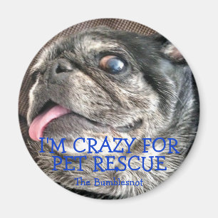 Imán de Bumblesnot: Estoy loco para el rescate del