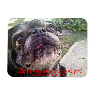 Imán de Bumblesnot: ¡La felicidad es un mascota