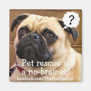 Imán de Bumblesnot: ¡Pan comido del rescate del