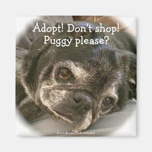 Imán de Bumblesnot: ¿Puggy por favor?
