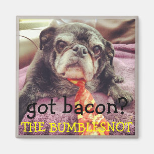 Imán de Bumblesnot:  ¿tocino conseguido?