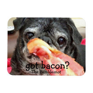 Imán de Bumblesnot: ¿tocino conseguido?