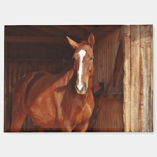 imán de caballo de granero (Anverso)