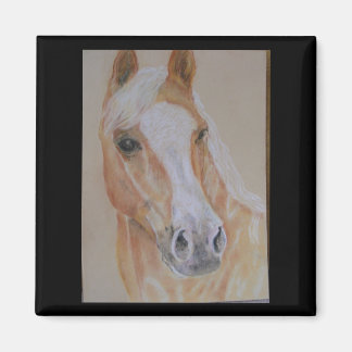 imán de caballo palomino