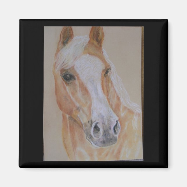 imán de caballo palomino (Frente)