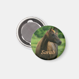 Imán de caballo personalizado