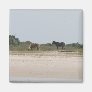 Imán de caballo salvaje