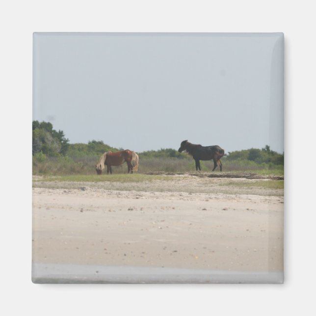 Imán de caballo salvaje (Frente)