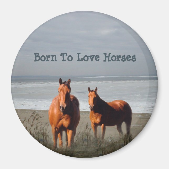 Imán de Caballos de Playa (Frente)