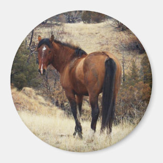 Imán de caballos salvajes