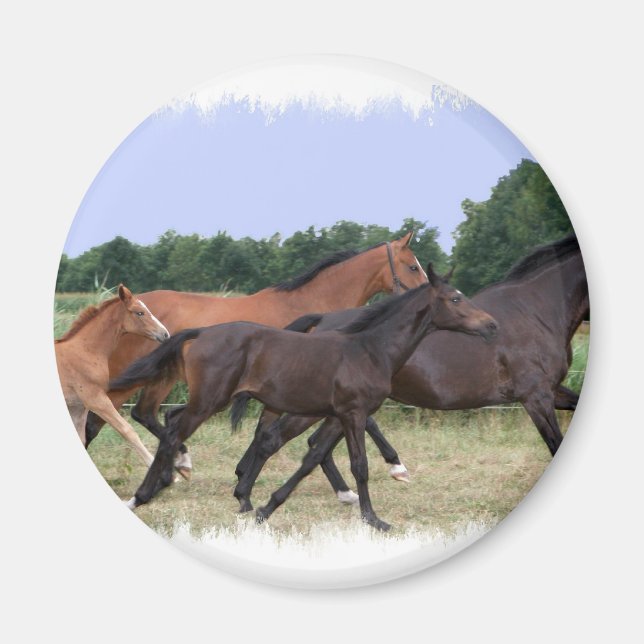 Imán de caballos salvajes (Frente)