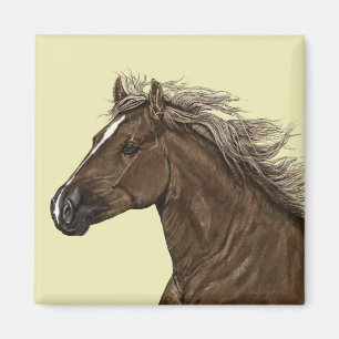 Imán de cabeza de caballo marrón