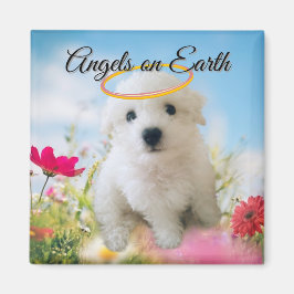 Imán de cachorro ángel