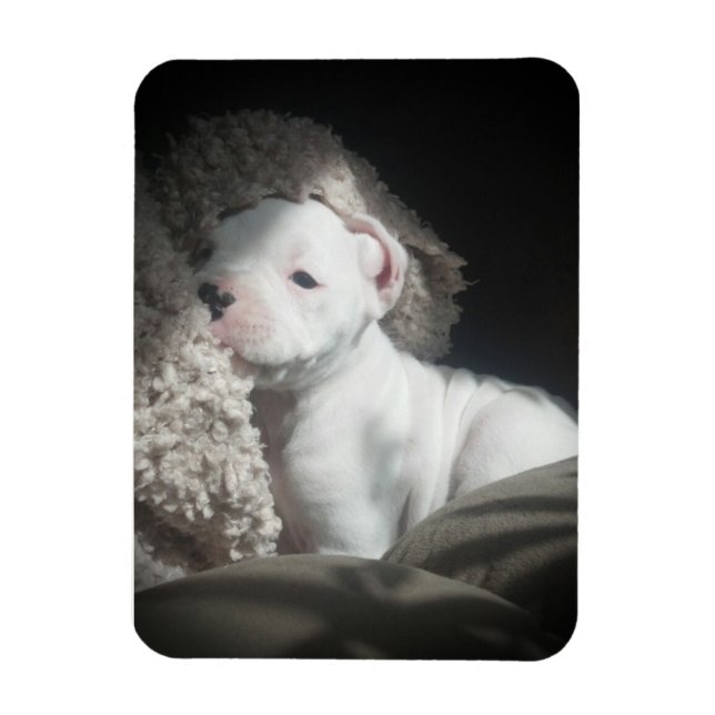 imán de cachorro blanco (Vertical)