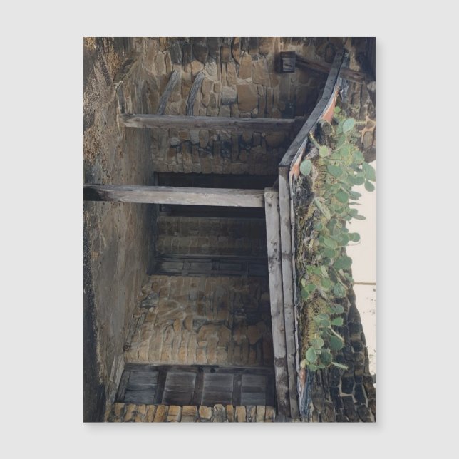 Imán de Cactus (Anverso)