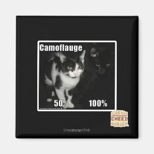 Imán De camuflaje