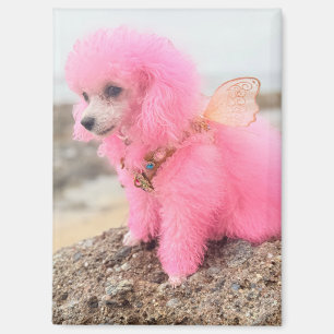 Imán de caniche rosa