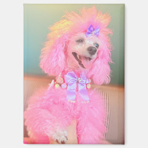 Imán de caniche rosa, regalo de caniche rosa
