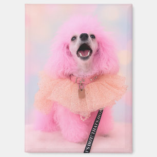 Imán de caniche rosa, regalo de caniche rosa