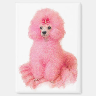 imán de caniche toy rosa, caniche rosa, nevera