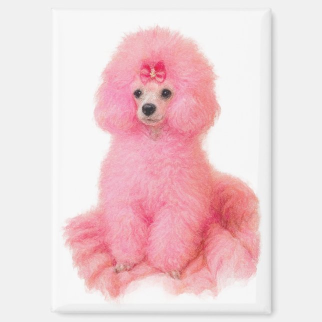 imán de caniche toy rosa, caniche rosa, nevera (Anverso)