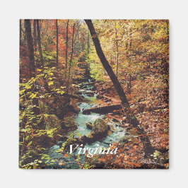 Imán de carreras ruidosas