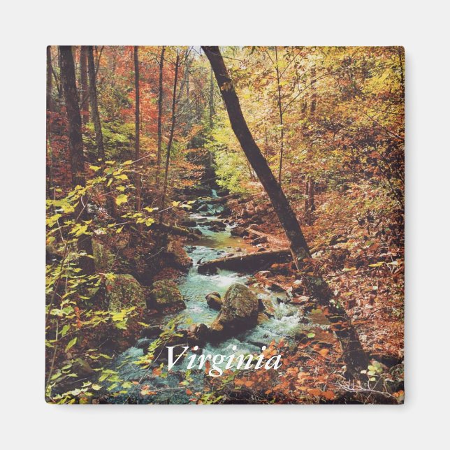 Imán de carreras ruidosas (Frente)