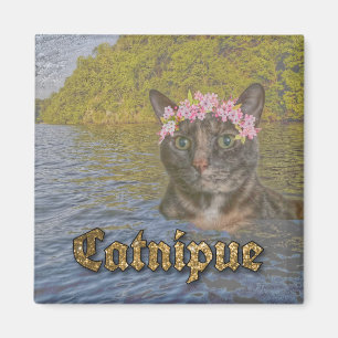 Imán de Catnipue
