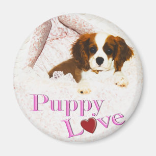 Imán de Cavalier King Charles Spaniel de Amor de C