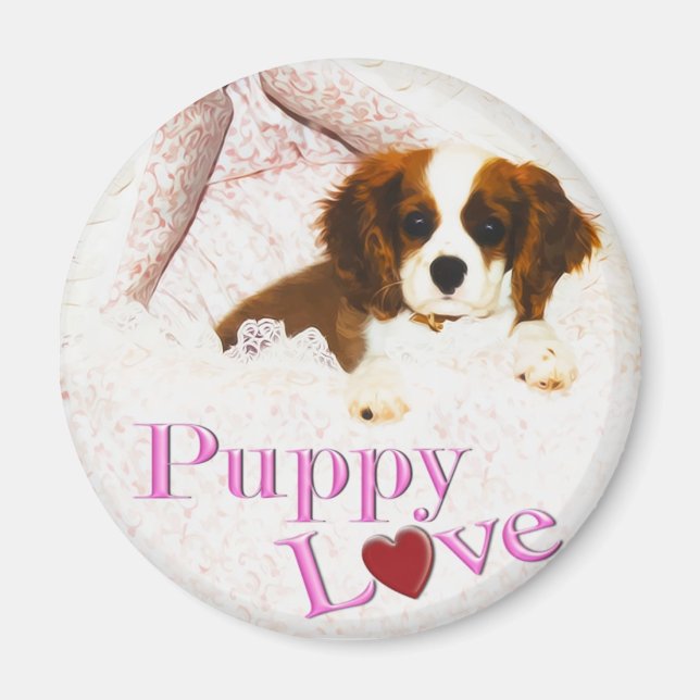 Imán de Cavalier King Charles Spaniel de Amor de C (Frente)