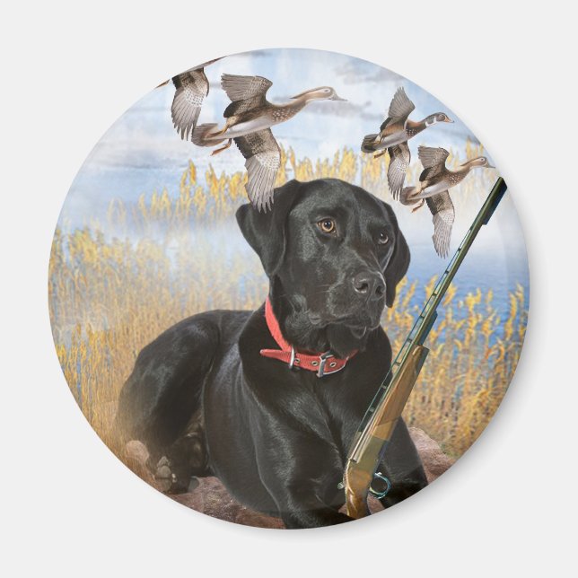 imán de caza de Black Lab (Frente)