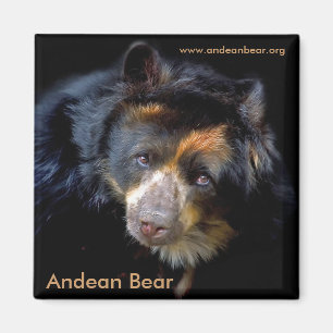 Imán de Cheri McEachin