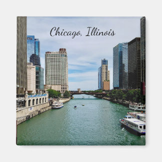 Imán de Chicago Illinois