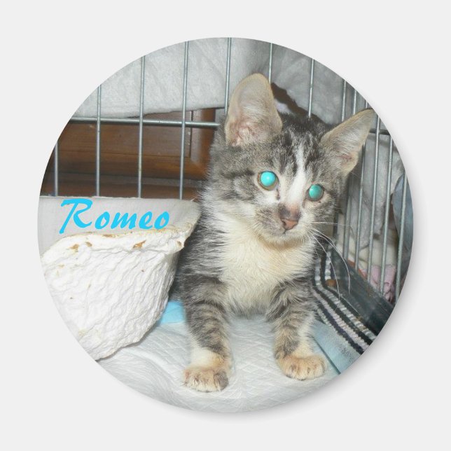 imán de círculo romeo (Frente)